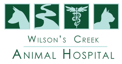 Wilson's Creek Animal Hospital Logo